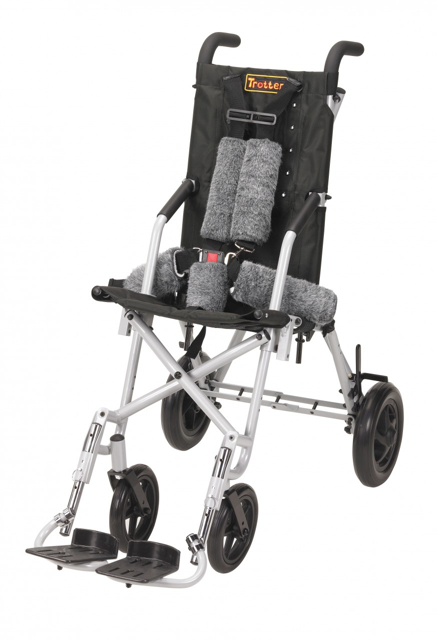 stroller for seniors