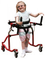 Pediatric Luminator Posterior Gait Trainer (Product Code lt 3100)