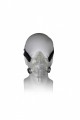 Extreme Comfort Full Face CPAP Mask with Head Gear - 18203